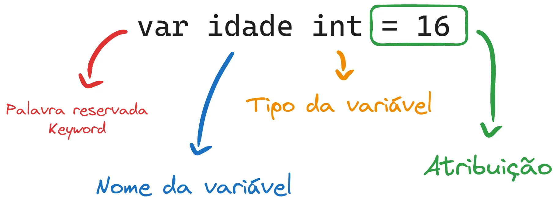 Demonstração da estrutura de uma variável com setas e cores. &#x27;var&#x27; -> palavra reservada. &#x27;idade&#x27; -> nome da variável. &#x27;int&#x27; -> tipo da variável. &#x27;= 16&#x27; -> atribuição.